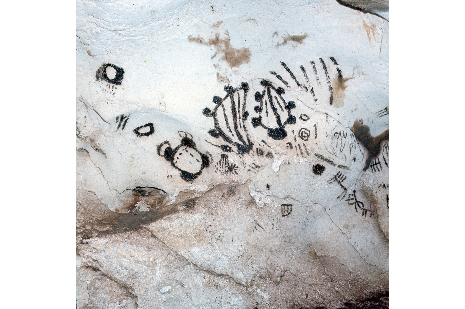 Grotta dei Cervi_5